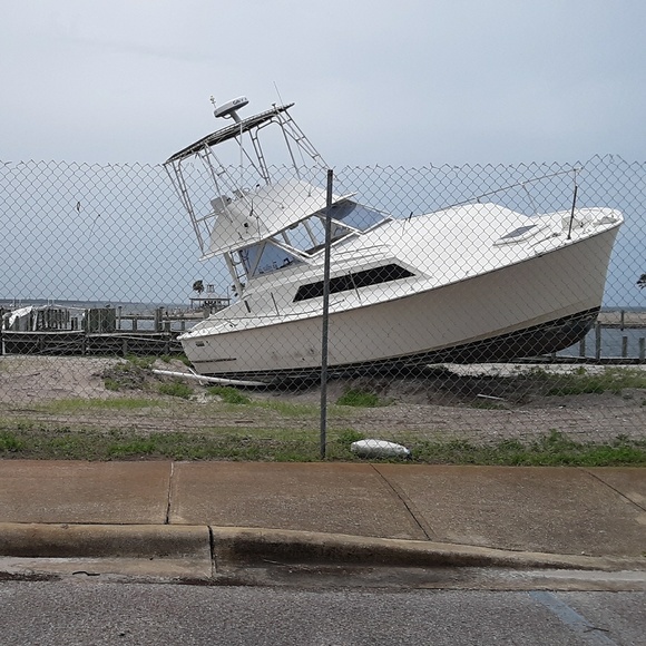 Meet your Posher, Rose - Picture 5 of 12